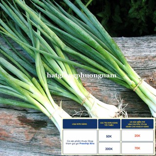 1GR - HẠT GIỐNG HÀNH LÁ