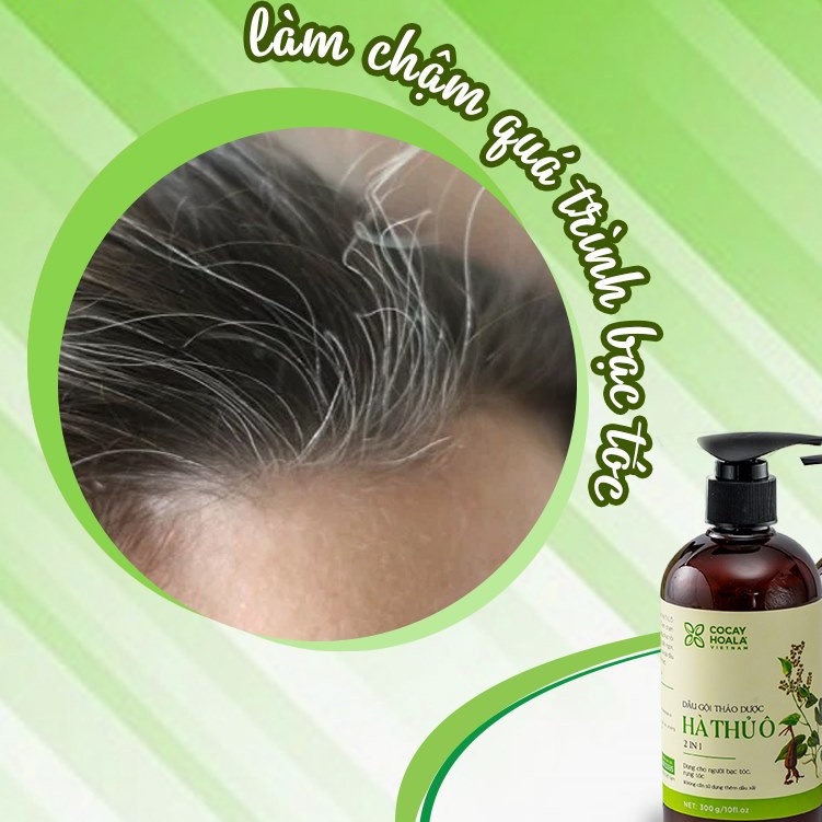 Dầu Gội Thảo Dược Hà Thủ Ô 2in1 Giảm Rụng Tóc Bạc Tóc-myphamvoistoe | BigBuy360 - bigbuy360.vn