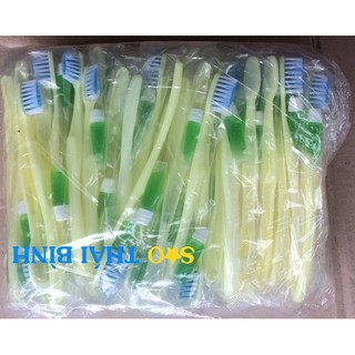 100 Bàn chải đánh răng và Kem cho Khách sạn, Nhà nghỉ - SAO THÁI BÌNH