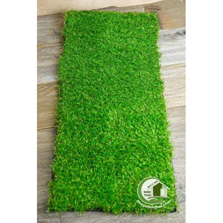 [ 50cm x 1m] Tấm cỏ nhựa xanh cao cấp trang trí hồ cá, sân vườn, mô hình