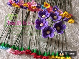 SỈ HOA DÂU TÂY