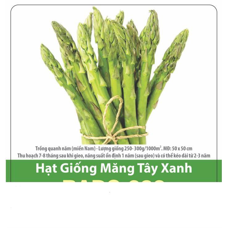 Hạt Giống Măng Tây Ngon Dễ Trồng, Thu Hoạch Quanh Năm 0.2gr