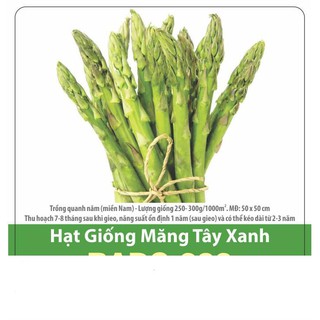 Hạt giống măng tây ngon dễ trồng, thu hoạch quanh năm 0.2gr