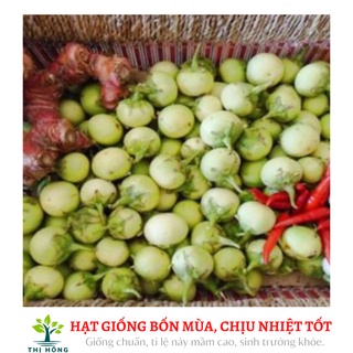Hạt giống cà pháo xanh 2g (quả to, màu xanh, ăn rất giòn)