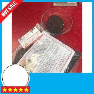 Hạt Mã Đề 100gr (Xa Tiền Tử) - 100% Chất Lượng - Lương Y Thanh Bình