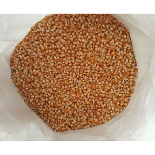 { 1KG } BẮP MỸ LÀM BẮP RANG BƠ