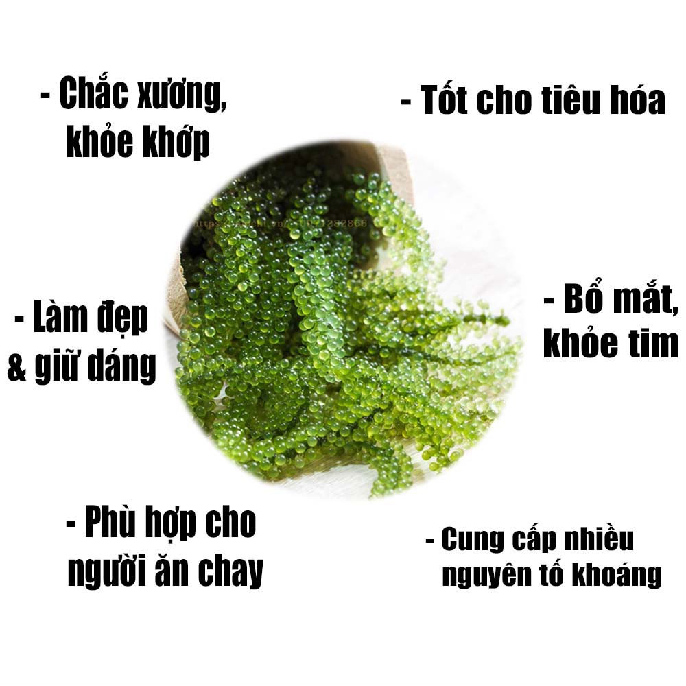 Hộp 100g 5 Gói Rong Nho Tách Nước Tasami Công Nghệ Tách Nước Tiêu Chuẩn Nhật Bản