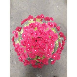 Nguyên Liệu Hoa Giấy Gấm (TẶNG CHẬU)