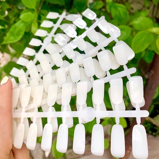 Móng giả gắn sổ Mẫu ( 120 móng/bich)