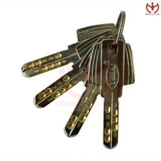 Khóa chống cắt YEHA SS978CBB