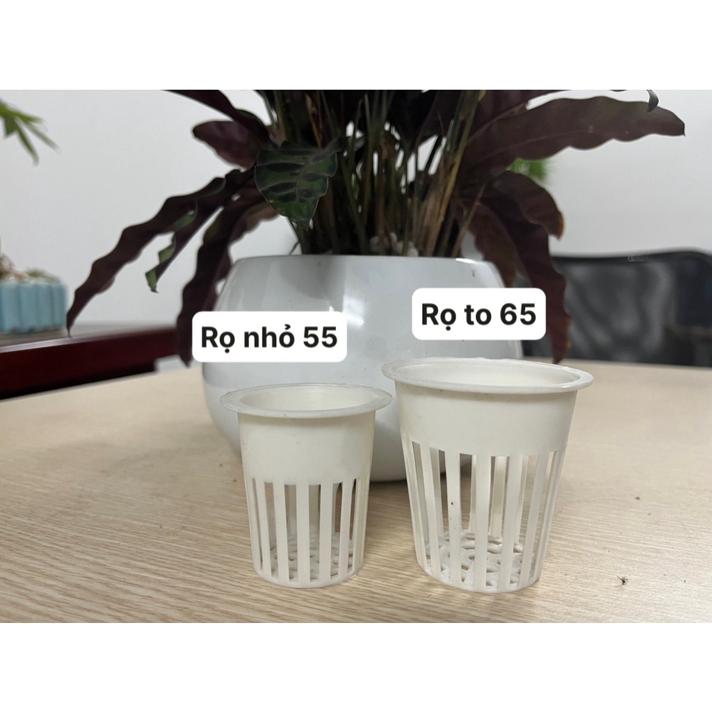 50 rọ nhựa trồng rau thủy canh kích thước  6,5 x 6,5