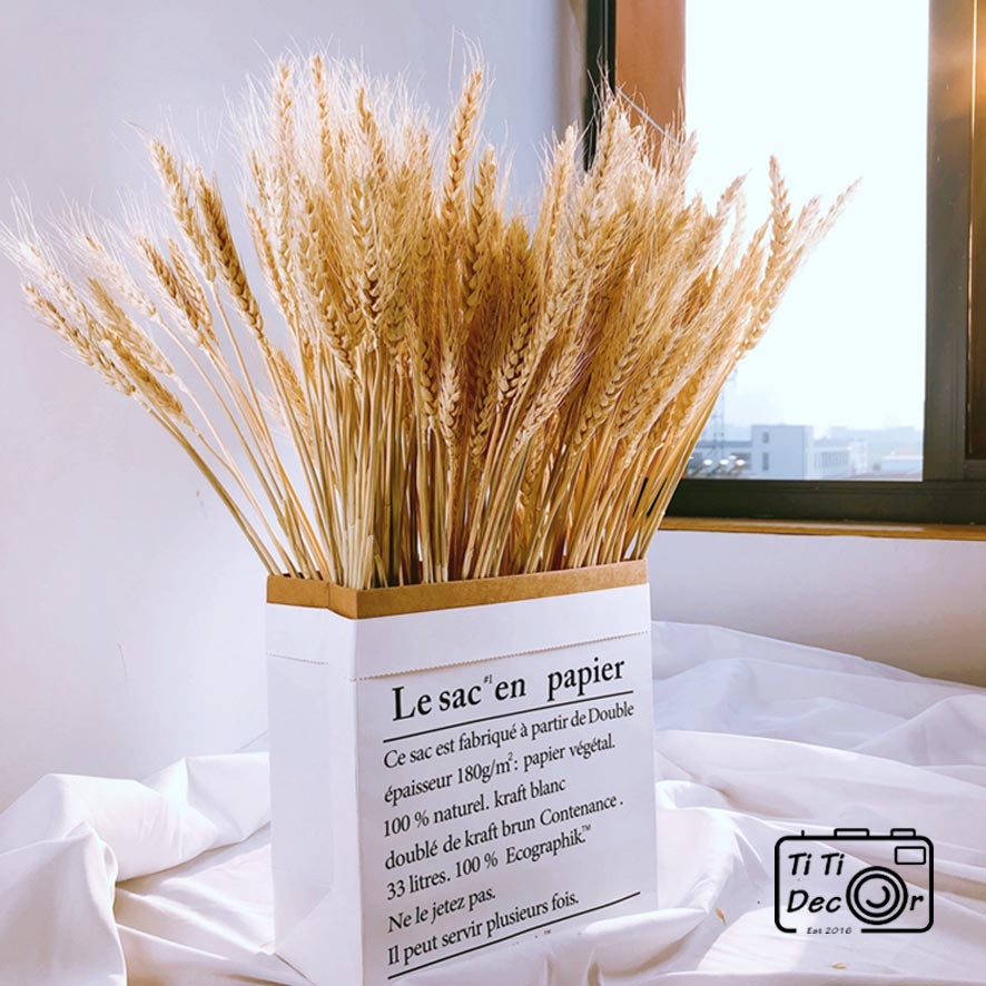 Bó Hoa Bông Lúa Mạch Khô TiTi Decor, Hoa Lá Khô Trang Trí