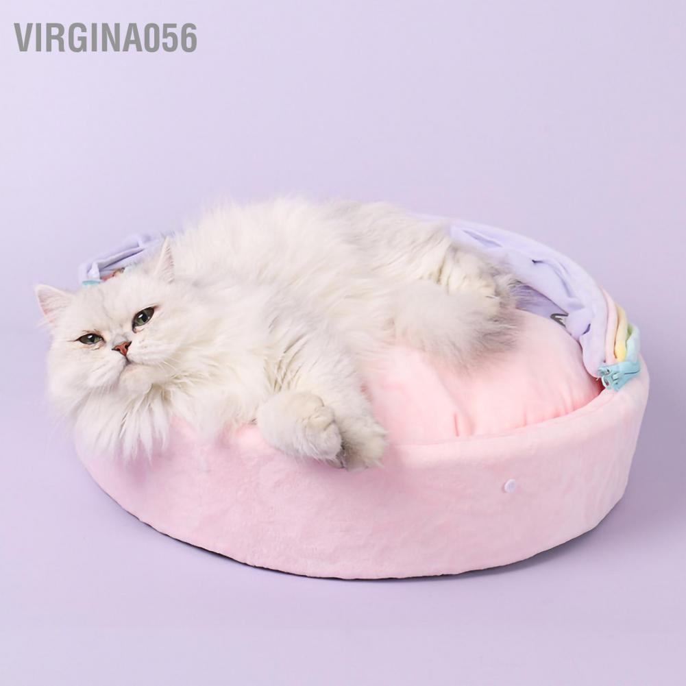 Có thể bán buôn Rainbow Cat Nest Four Seasons Sẵn có Thiết kế chống trượt dưới đáy Nhà mèo mềm mại thoải mái cho nuôi chó Virgina056 Hàng giao ngay