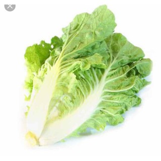 10g HẠT GIỐNG CẢI BẸ DÚN