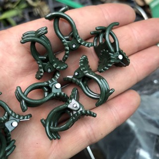 10 kẹp bướm cố định hoa lan