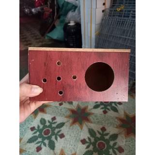 tổ ổ đẻ chim yến phụng