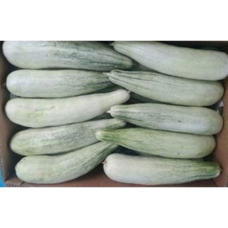 [Big Sale] Hạt giống dưa chuối thơm