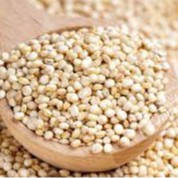 Hạt Quinoa Diêm Mạch MOURAD Hũ 500g