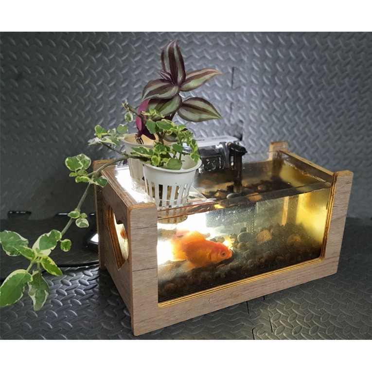 Bể cá mini thủy sinh - bể cá để bàn khung gỗ siêu đẹp kèm phụ kiện