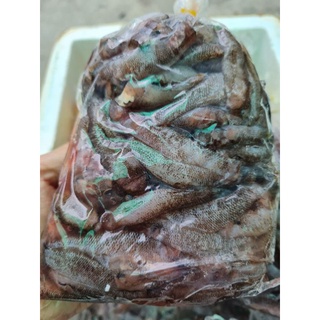 Cá bống miền tây - 500g