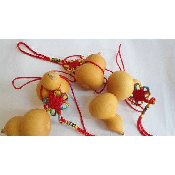 Hạt Giống Bầu Hồ Lô Tí Hon  Năng Suất Cao - MUA 3 TẶNG 1 CÙNG LOẠI