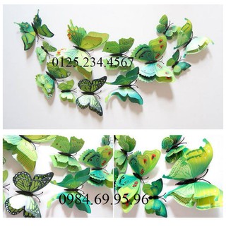 Decal dán tường BƯỚM 3D 4 cánh SIÊU XINH màu xanh lá cây