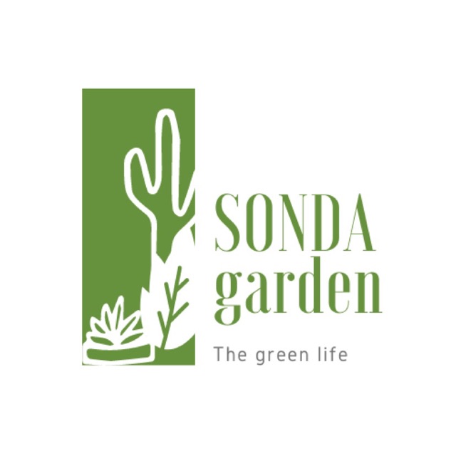 SONDA Garden - Succulent Farm