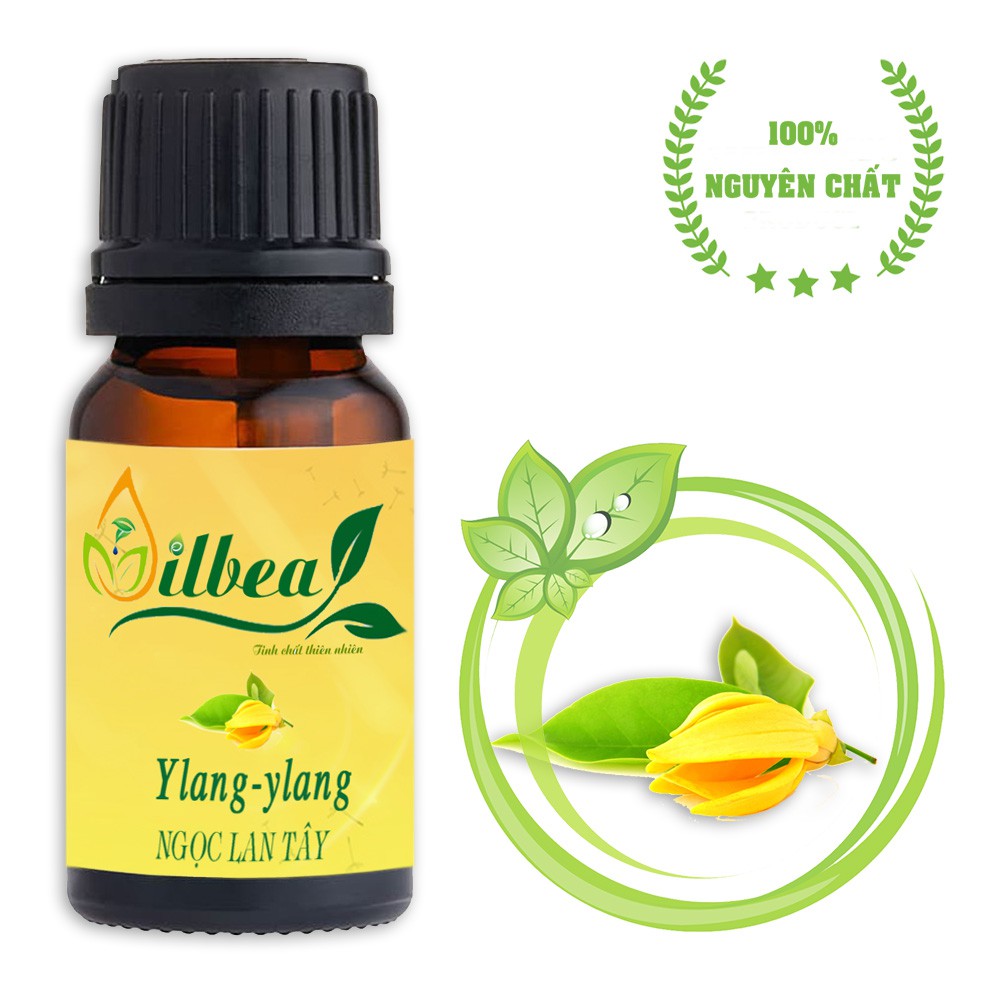 Tinh dầu xông phòng 10ml mùi tự chọn