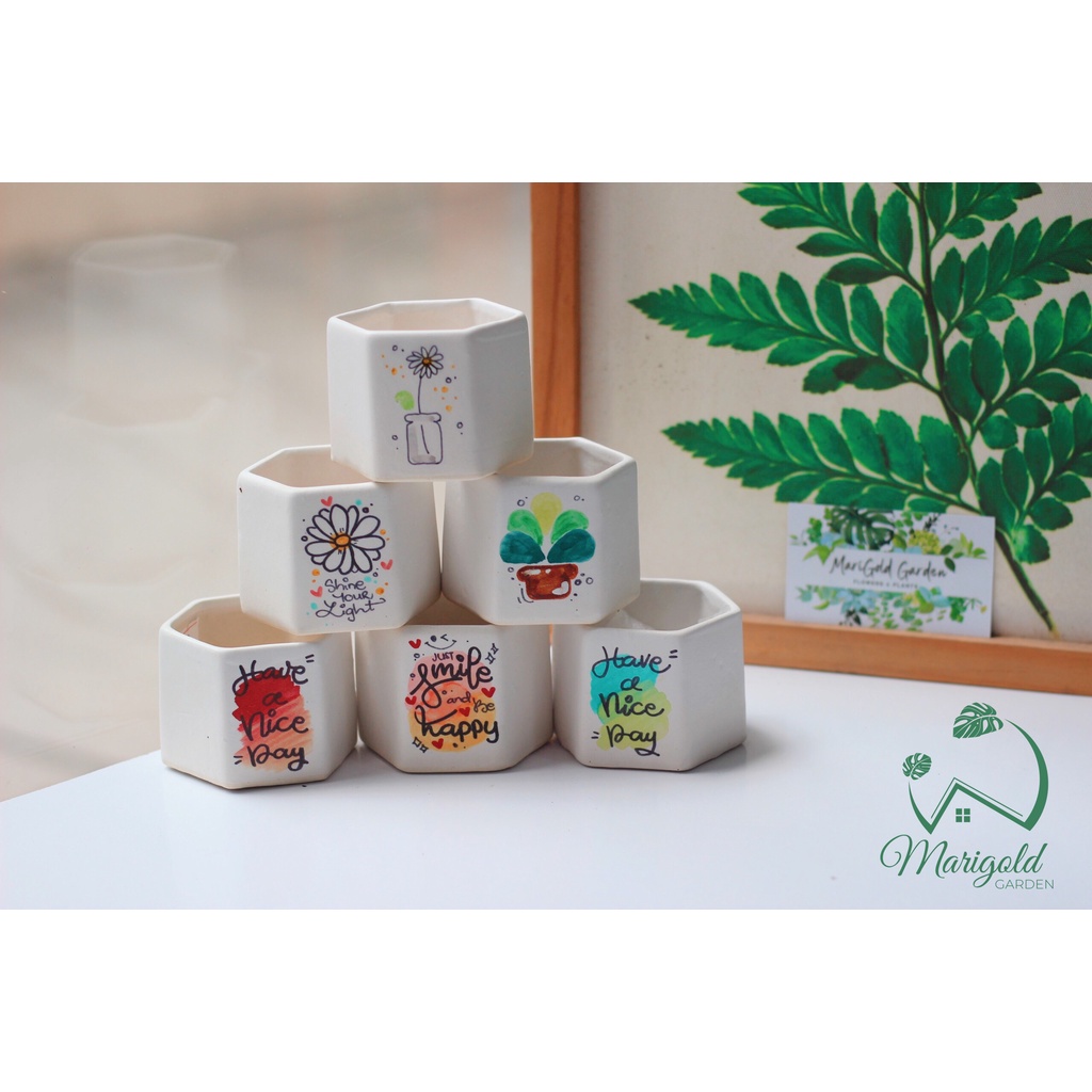CHẬU TRỒNG CÂY HÌNH LỤC GIÁC - CHẬU MEN HỌA TIẾT