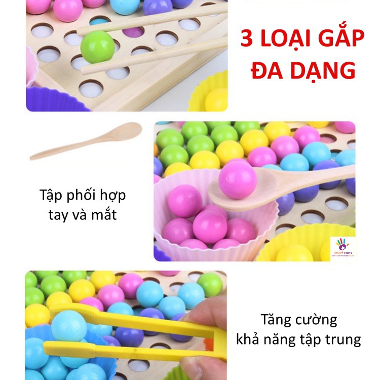 HÀNG LOẠI 1- Bộ gắp hạt có bát, kèm luyện trí nhớ 2 trong 1