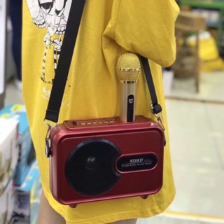 Loa Karaoke Bluetooth SD-501 Kèm Micro Không Dây