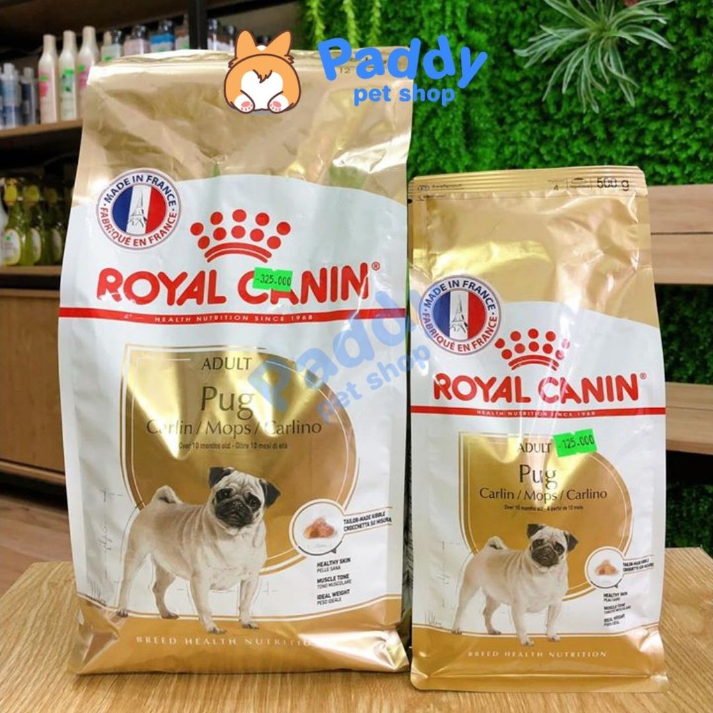  Hạt Royal Canin Pug Adult Cho Chó Pug Trưởng Thành