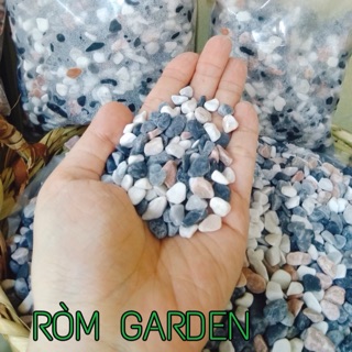 Bịch 1kg - SỎI TRANG TRÍ HỒ CÁ/ CHẬU CÂY