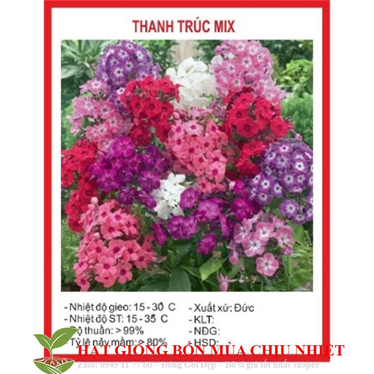 Hạt Giống Hoa thanh trúc Mix 50 Hạt/ Gói ĐẾN MÙA TRỒNG TẾT