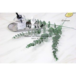 Lá cây bạch đàn Silver E decor phụ kiện chụp ảnh