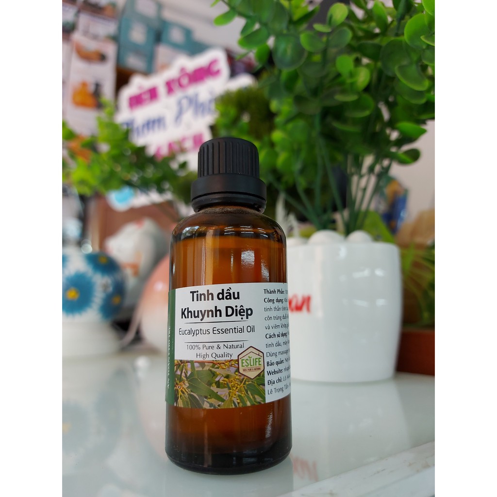 Tinh Dầu Khuynh Diệp chai nhỏ 10ml – tinh dầu Bạch Đàn Eucalyptus Essential Oil | đuổi muỗi côn trùng