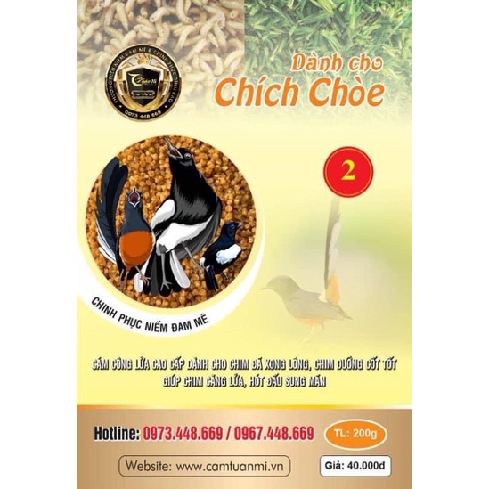 CÁM CHOÈ CĂNG LỬA SỐ 2 TUẤN MI