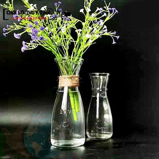 Bình Bông Lọ Hoa Thủy Tinh Eo Lớn