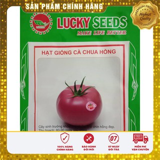 Hạt giống cà chua hồng LUCKY SEED -30 hạt
