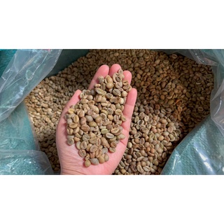 300g Cà Phê Nhân Robusta honey