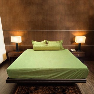 Bộ ga chun Dreamland Cotton XK