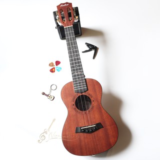 Đàn Ukulele Concert Andrew 81H Classic Cao Cấp chính hãng