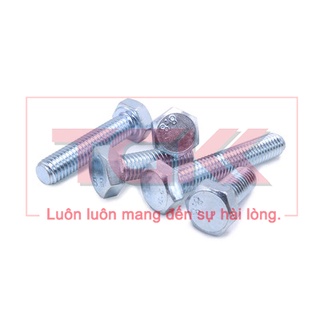 Bulong mạ kẽm M12 (20-100mm)