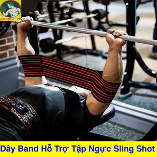 Dây Band Hỗ Trợ Tập Ngực Bench Sling Shot Valeo VL-001
