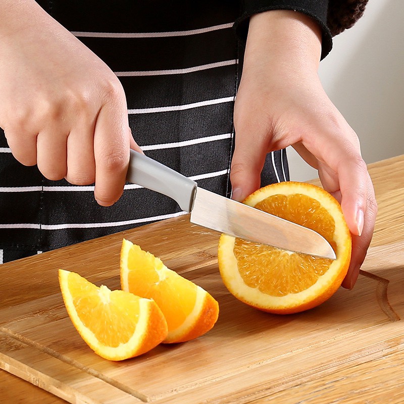 Dao Gọt Hoa Quả Vỏ Trái Cây Bào Rau Củ Quả,Mini  Chất Liệu Thép Không Gỉ Có Bao An Toàn 88197