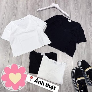 áo cổ tim croptop
