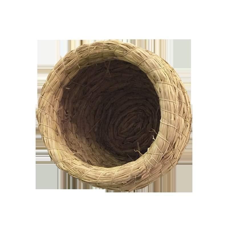 Tổ đẻ hàng thủ công dành cho chim vẹt nhiều mẫu