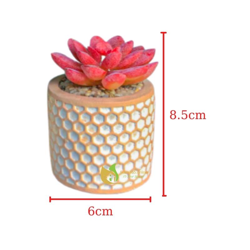 Bộ 4 chậu sen đá trang trí, chậu sen đá mini nhân tạo họa tiết tổ ong dễ thương, trang trí decor quá cafe, bàn làm việc