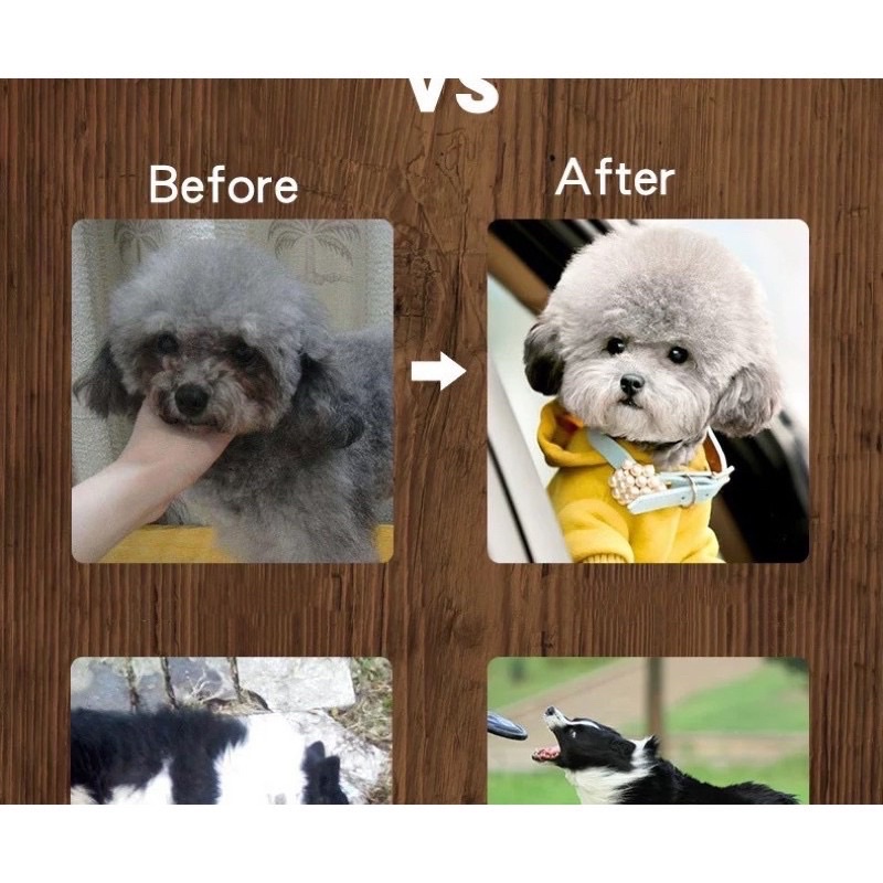 Xúc xích dinh dưỡng dành cho chó mèo hamster thơm ngon bổ dưỡng - Thức ăn chó mèo thơm ngon