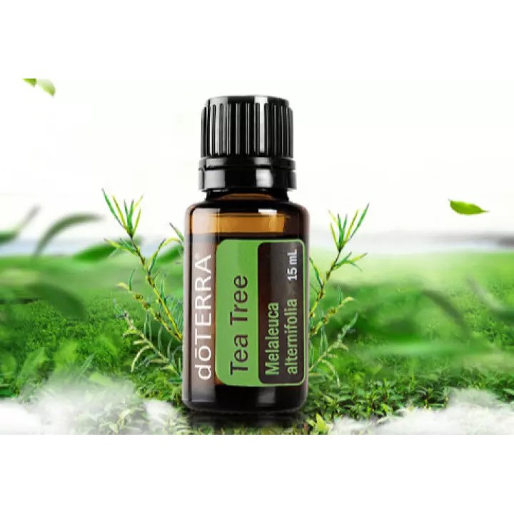 Tinh dầu Tràm Trà Tea Tree Melaleuca Tinh Dầu Nguyên Chất doTERRA USA